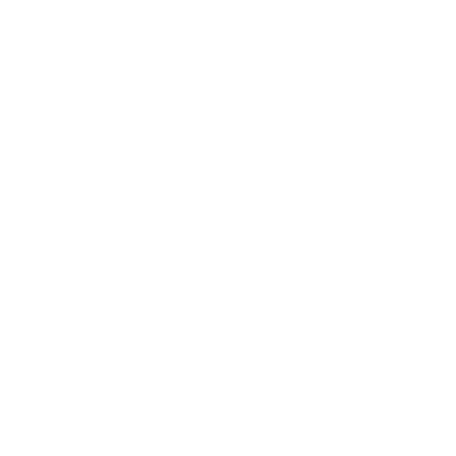 Logo netscreens DS